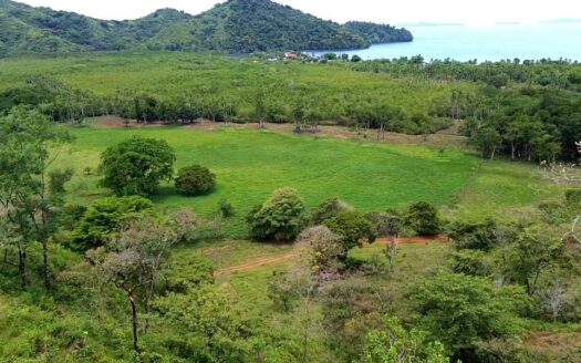 TERRENO EN VENTA EN PIXVAE – SANTIAGO DE VERAGUAS – PANAMÁ – MLS 22532