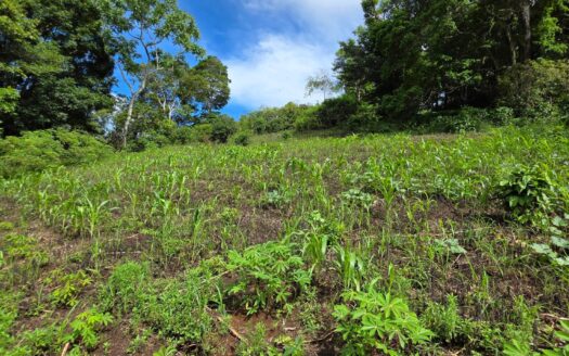 Venta de lote de 5 Hectáreas en la Frontera con Costa Rica – MLS 22547