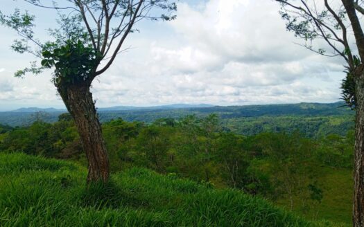 Finca en Santa Rosa para Ganadería y Agricultura – MLS 22515