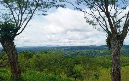 Finca en Santa Rosa para Ganadería y Agricultura – MLS 22515