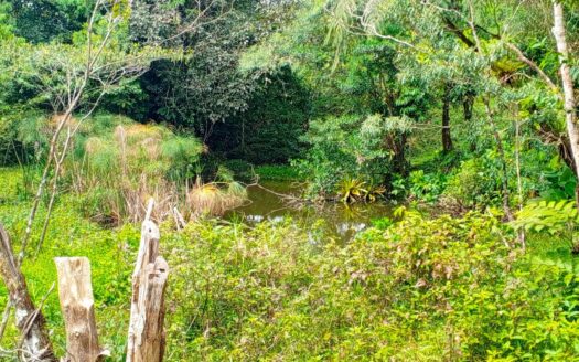 Finca en Santa Rosa para Ganadería y Agricultura – MLS 22515