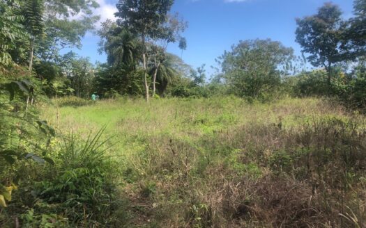 Limones, Frente Carretera Puerto Armuelles – MLS 22518