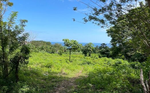 Limones, Frente Carretera Puerto Armuelles – MLS 22518