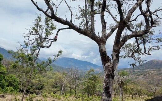 Venta de hermosa finca de 27 hectáreas en Caldera, Boquete, Panamá – MLS 22477