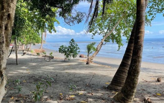 Limones, frente a la playa de Puerto Armuelles – MLS 22516