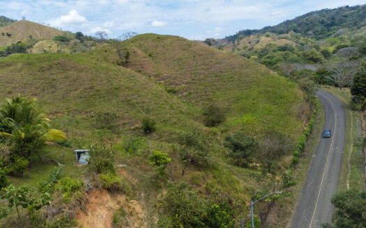 Propiedad de 5 hectáreas en venta en Cambutal – MLS 22041