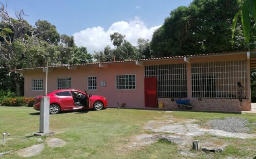 Venta de casa con amplio terreno en La Palma, San Carlos – Panamá Oeste – MLS 22444