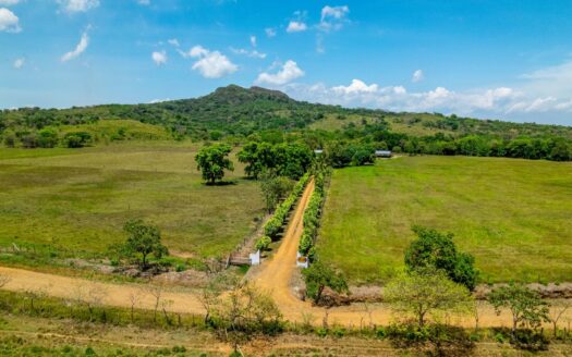 Finca Lechera Moderna de 350 hectáreas en San Lorenzo – MLS 22463