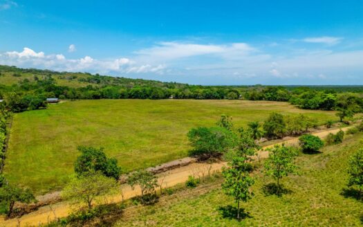 Finca Lechera Moderna de 350 hectáreas en San Lorenzo – MLS 22463