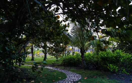 VENTA DE LOTE SEGUNDO FRENTE DE PLAYA BARQUETA – MLS 22394