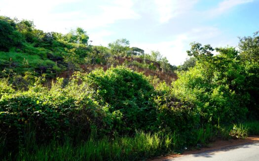 Lote frente al mar en venta en Palenque – MLS 21118