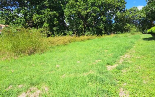 Lote en Venta en Las Lajas, a 5 km de Coronado – MLS 19186