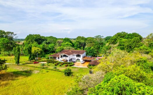Finca Familiar con Tierras Frutales en David Panamá – MLS 22377