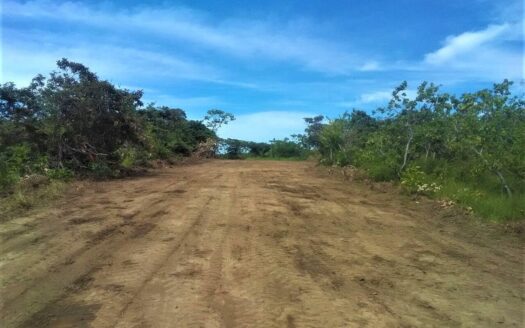 Terreno en Venta de 63 hectareas en El Chiru, Río Hato, Antón, Panamá – MLS 21685