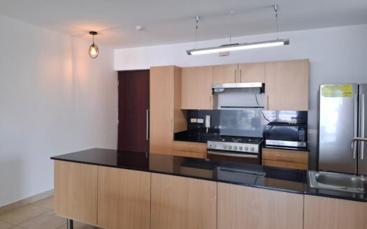 Venta o Alquiler de Apartamento en el área del Cangrejo – MLS 22457