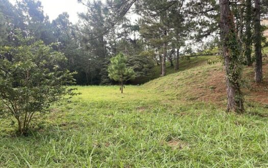 TERRENO EN VENTA EN ALTOS DEL MARIA – MLS 20723