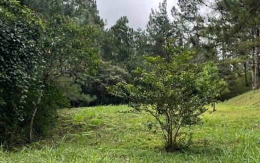 TERRENO EN VENTA EN ALTOS DEL MARIA – MLS 20723