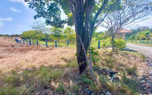 PROYECTO EN LAS LAJAS CON PERMISO PARA DESARROLLO DE CASAS CAMPESTRES – MLS 20228