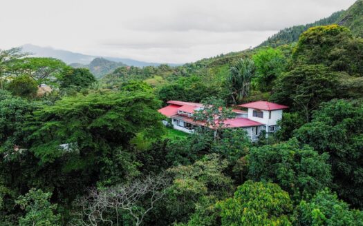 Hermosa Casa y Finca de Café Fuera de la Red – MLS 22531