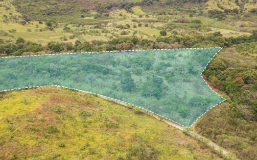 ¡Oportunidad para Inversionistas Visionarios! Finca 6.4 Has. Cabuya, Chame – MLS 22697