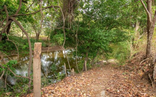 ¡Oportunidad para Inversionistas Visionarios! Finca 6.4 Has. Cabuya, Chame – MLS 22697
