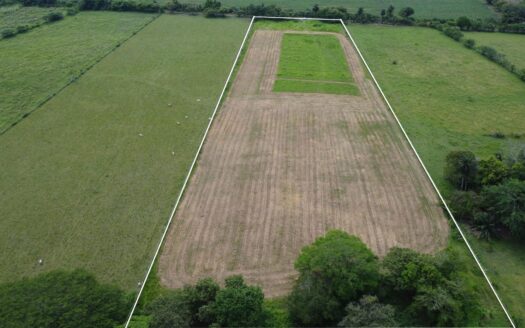 Finca de 20,25 Acres con Título de Propiedad en Venta en Las Moras Alanje – MLS 22694