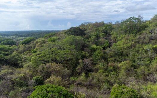 Terreno de 6 hectáreas en Venta en Las Tablas – MLS 22692