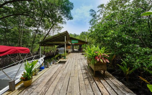 Concepto Jungle Lodge en Bocas del Toro – MLS 22008