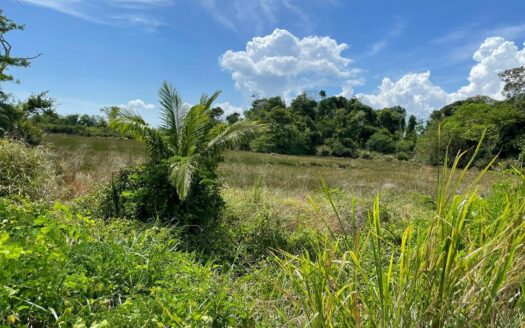 Santuario Eco Island, Darién, Panamá – MLS 22353