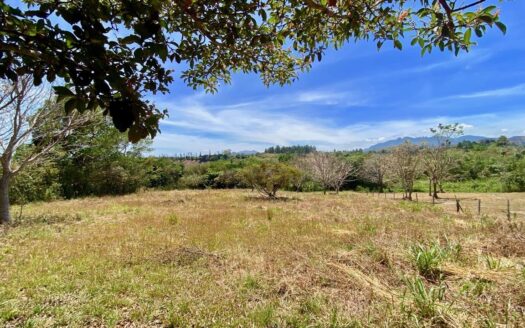 TERRENO PLANO PARA PROYECTO – MLS 22231