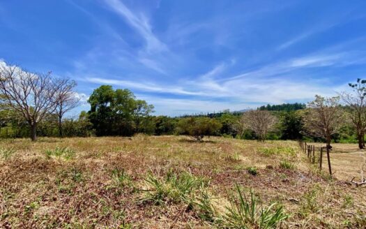 TERRENO PLANO PARA PROYECTO – MLS 22231