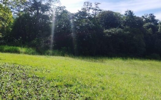 Lucero Golf & Country Club – Donde el lujo abraza la naturaleza – MLS 22223