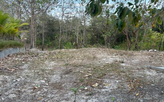 TERRENO PIEDRAS GORDAS 1.1 HTAS – MLS 22201
