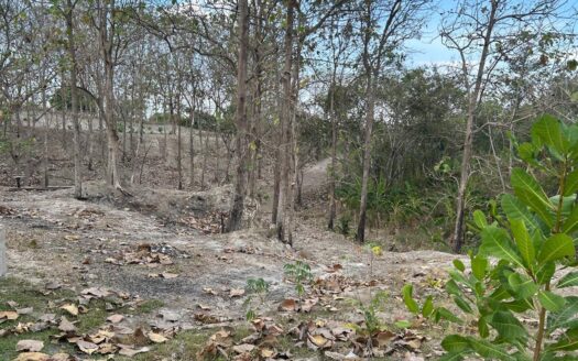 TERRENO PIEDRAS GORDAS 1.1 HTAS – MLS 22201