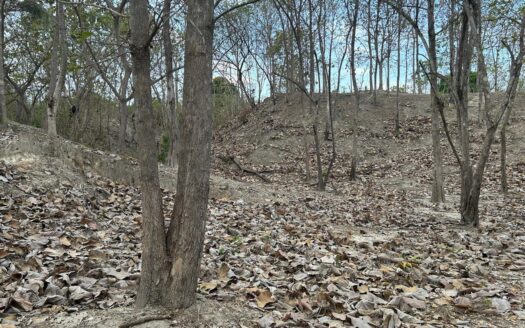 TERRENO PIEDRAS GORDAS 1.1 HTAS – MLS 22201