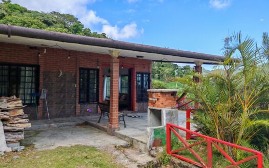 VENDO PROPIEDAD MATA AHOGADO, EL VALLE DE ANTON – MLS 22192