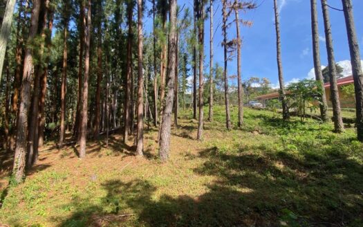 AMPLIO TERRENO CON VISTAS A LA MONTAÑA – MLS 22184