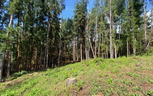 AMPLIO TERRENO CON VISTAS A LA MONTAÑA – MLS 22184
