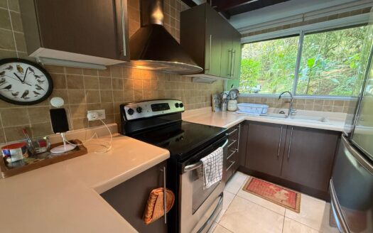 Encantadora Casa Junto al Lago en Venta en Cerro Azul – MLS 22160