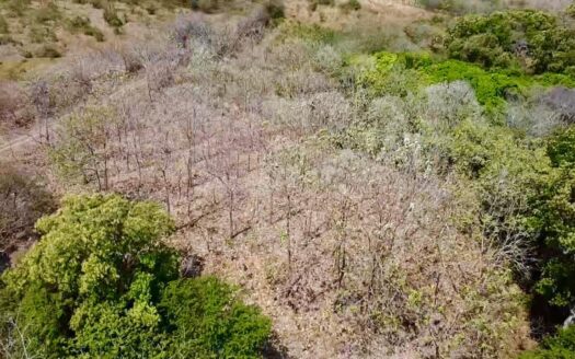 TERRENO CON RÍO Y TECA – MLS 22161
