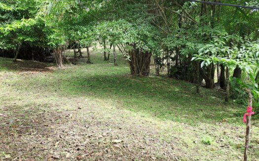 Venta de Terreno en Isla Colon – MLS 22133
