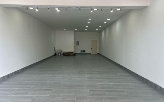 LOCAL COMERCIAL EN ARRAIJAN – MLS 22085