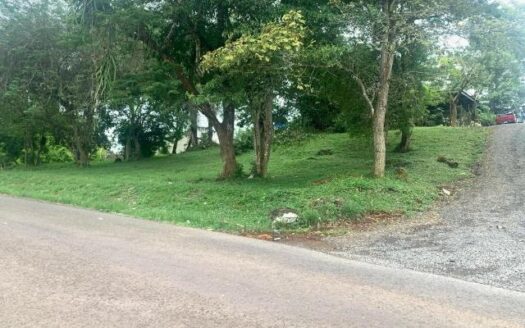 VENDO TERRENO EN LA CHORRERA – MLS 17879