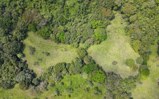 Isla urbana de Río Bejuco – MLS 22095