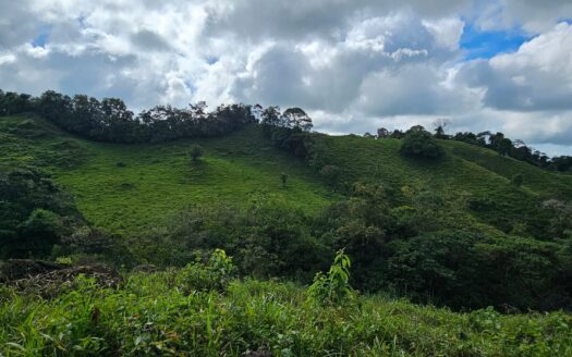 En venta finca de 15.6 hectáreas, Volcán Chiriquí – MLS 22023