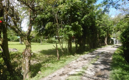 EL VALLE DE ANTON LOTE EN VENTA – MLS 22016