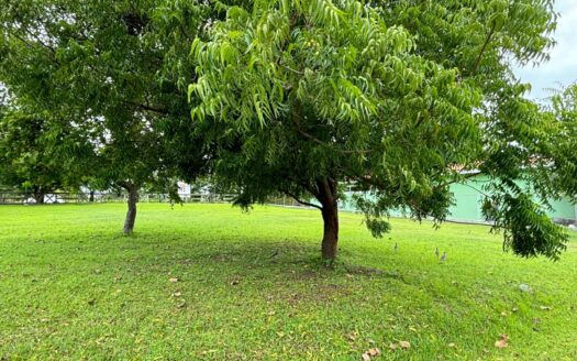 Venta de terreno en Coronado, Club Ecuestre F. I – MLS 20848