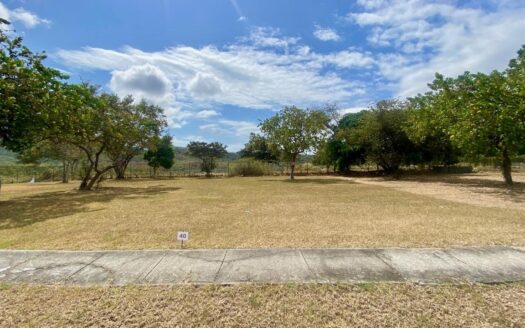 TERRENO PLANO EDIFICABLE EN COMUNIDAD CERRADA – MLS 21959