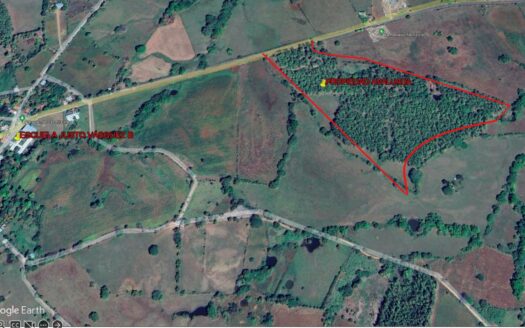 Se Vende Terreno de 15.5 Hectáreas en Carretera Pocrí – Paritilla. – MLS 20446