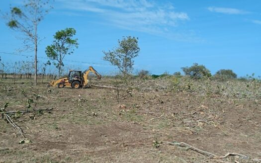 Se Vende Terreno de 15.5 Hectáreas en Carretera Pocrí – Paritilla. – MLS 20446